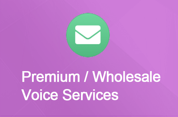 Premium/Wholesale Voice Services